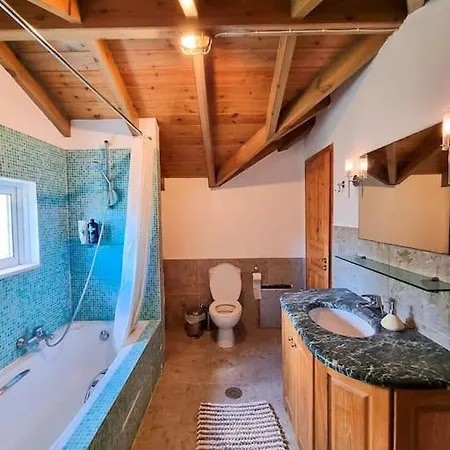 Artemis House Tatil Evi *